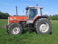 Massey Ferguson 3645 d'occasion Corrèze