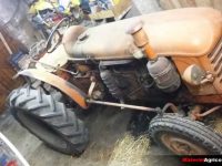 Renault D35, tracteur agricole d'occasion dans le Tarn