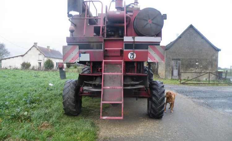 Moissonneuse batteuse à vendre dans la Sarthe